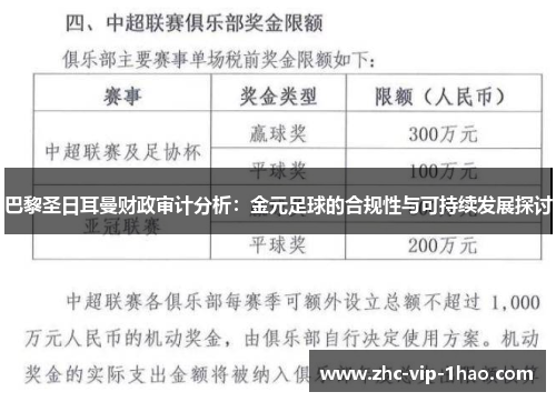 巴黎圣日耳曼财政审计分析：金元足球的合规性与可持续发展探讨