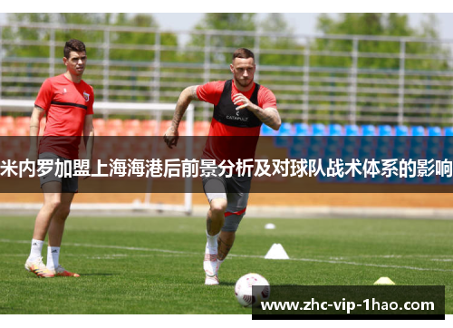 米内罗加盟上海海港后前景分析及对球队战术体系的影响 米内罗加盟上海海港后前景分析及对球队战术体系的影响