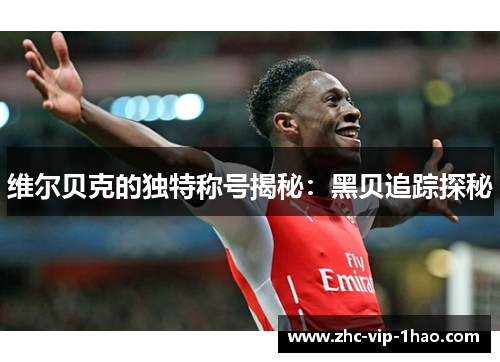 维尔贝克的独特称号揭秘:黑贝追踪探秘 维尔贝克的独特称号揭秘:黑贝追踪探秘