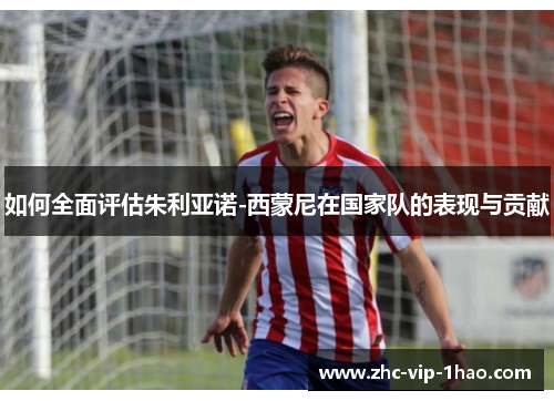如何全面评估朱利亚诺-西蒙尼在国家队的表现与贡献