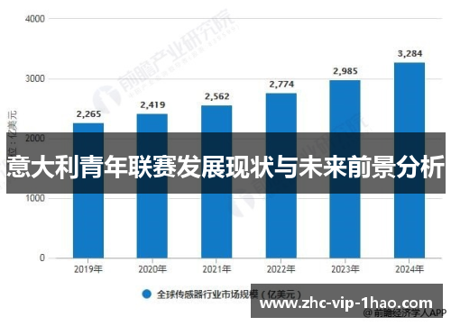 意大利青年联赛发展现状与未来前景分析